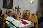 Собор всех Святых. День Ангела для всех православных